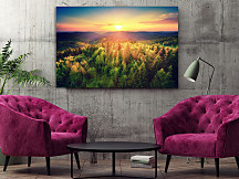 Obraz Nespútaná divočina 1925